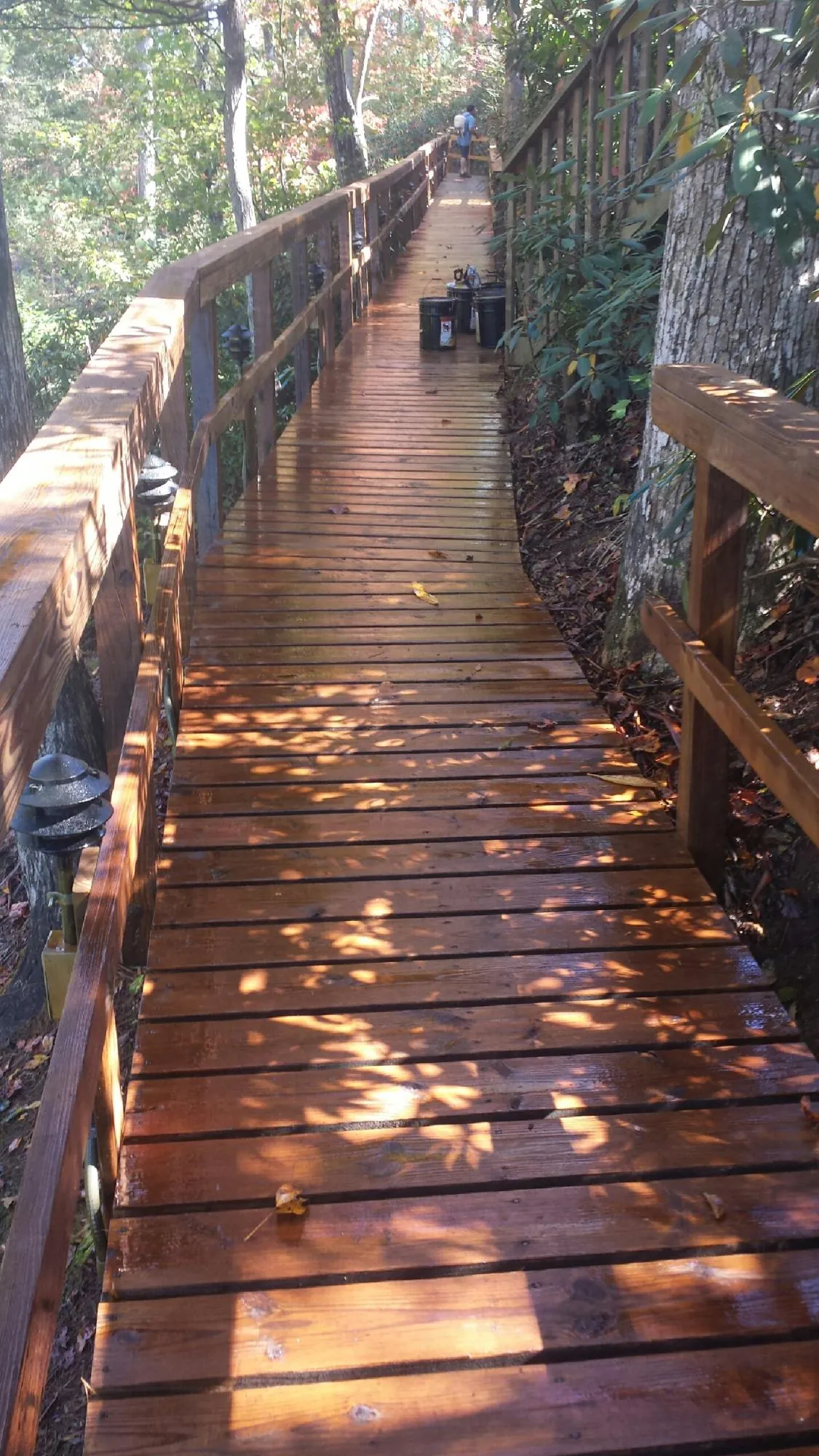Freshly stained wood walkway winding through the woods in Frankfort